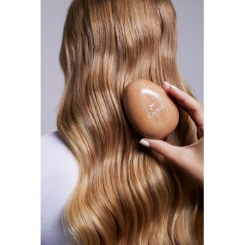 Wood Oval Brush 2