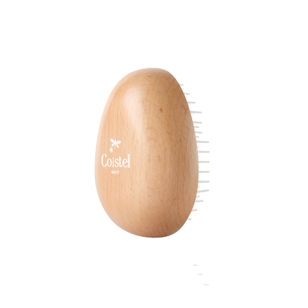 Wood Oval Brush